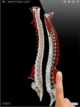 Game screenshot Spine Pro III mod apk