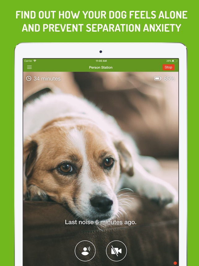 dog monitor on the app store dog monitor on the app store