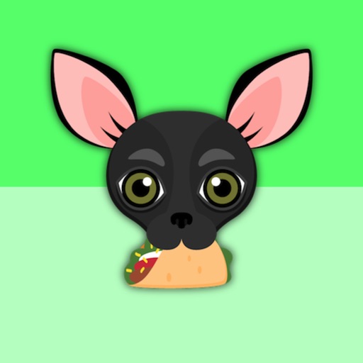 Black Chihuahua icon