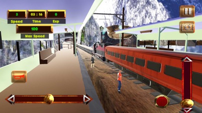 Real Express Train Driving Sim screenshot 3