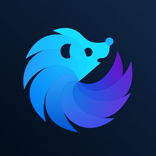 Asteroid VPN - Unlimited Proxy