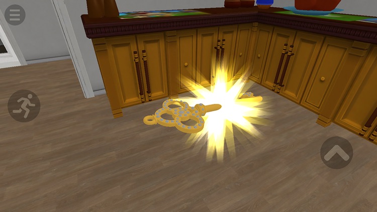 MYSTERY BALDI-SECRET KEY