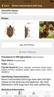 midwest stink bug iphone screenshot 3