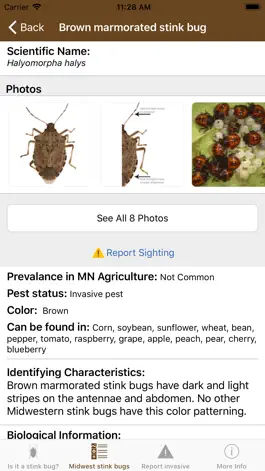 Game screenshot Midwest Stink Bug hack