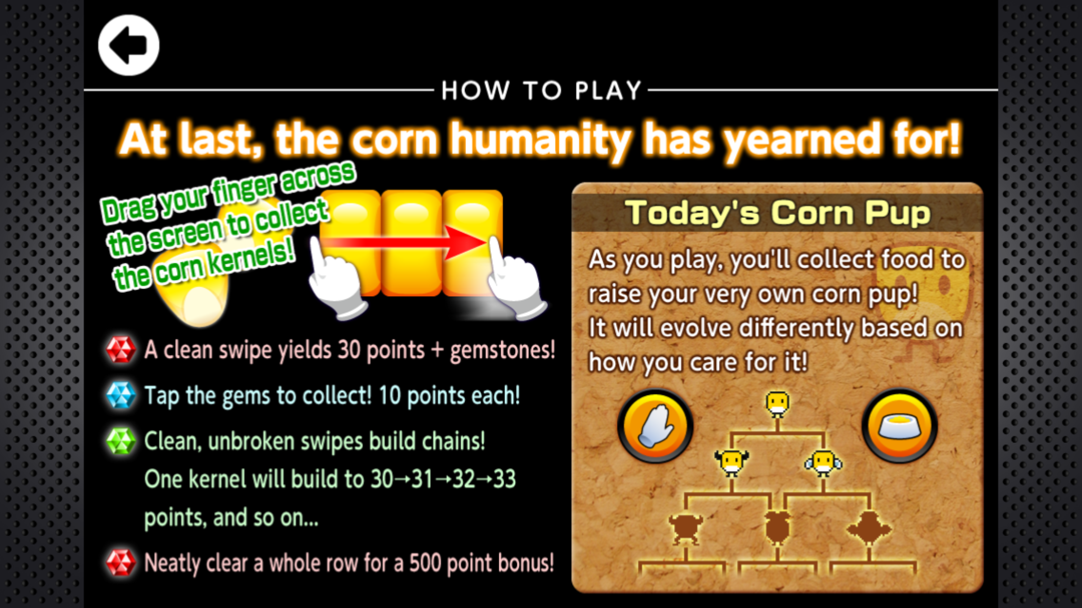 Corn Zone