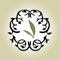 Download the App for Skin Medics and save on an array of spa treatments, professional products and physician services that will help you love the skin you’re in