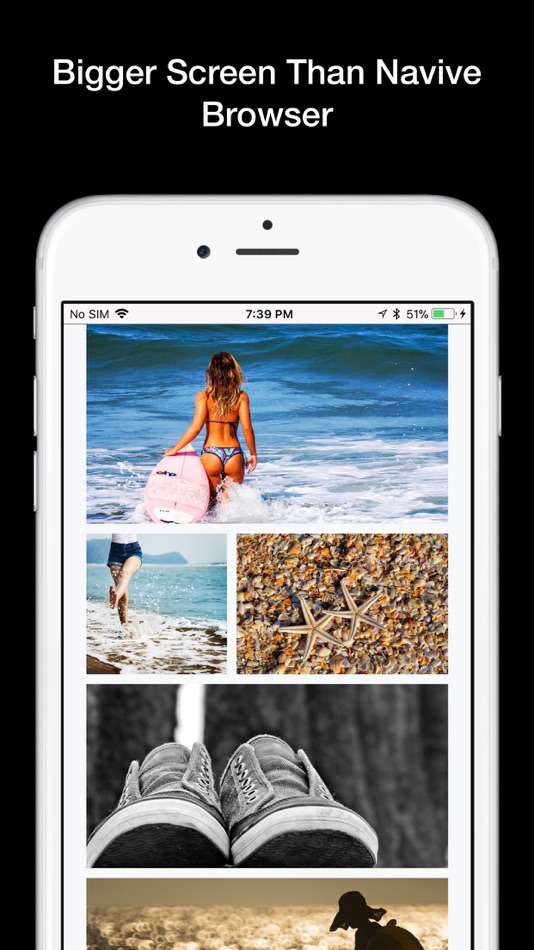 #3. Hive Private Browser (iOS) 由: Rojao