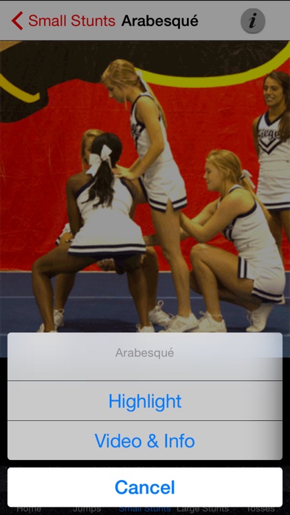 Cheerleading Skills