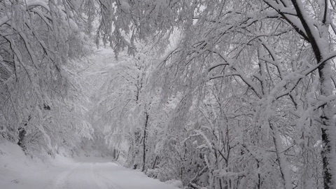 Screenshot #5 for Relax App