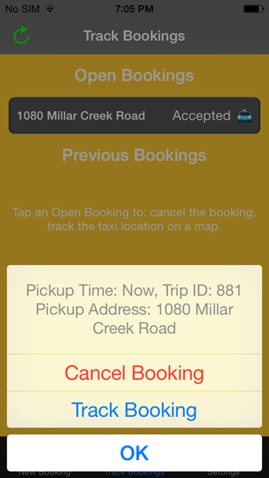 Whistler Taxi screenshot 3