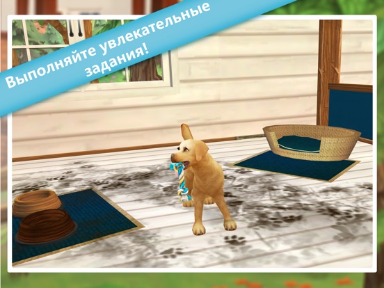 Pet Hotel Premium для iPad