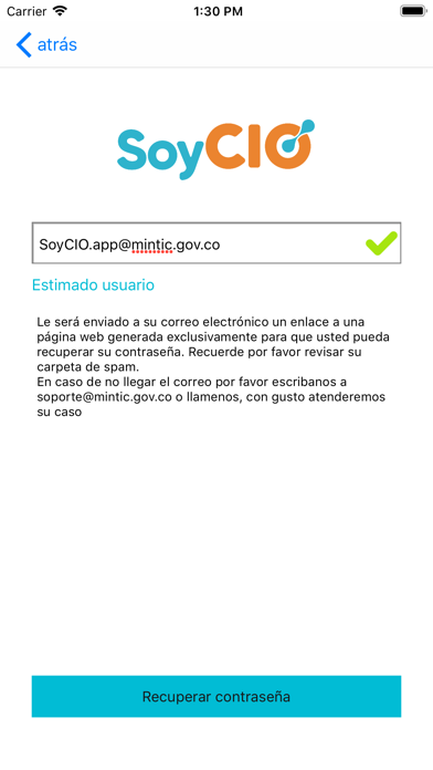 SoyCIO screenshot 3