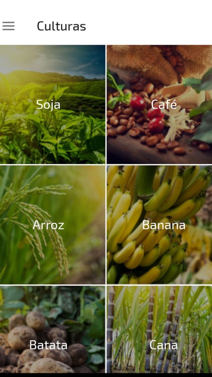 Soluções Essenciais Stoller