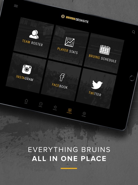 Bruins DeskSite