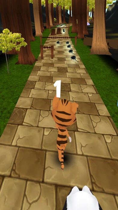 Pet Runner Subway Cat & Dog Screenshot 3