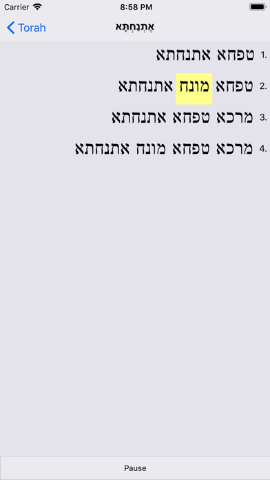 PocketTorah Trope iPhone screenshot 1 - Education app