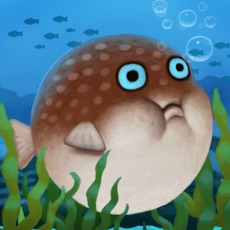 Activities of Puffy Blowfish