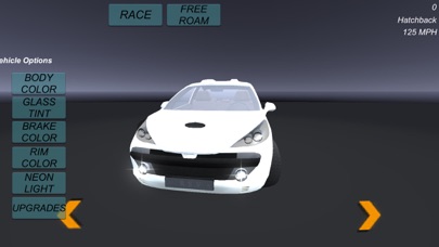 Can't Catch This 3d Racing Screenshot 6