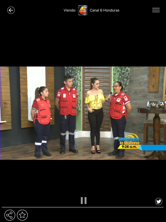 Canal 6 Honduras screenshot 2