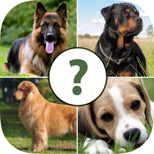 Pups Pet Trivia Pro icon