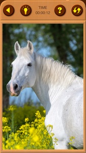 Horses Jigsaw Puzzles for Kids screenshot #4 for iPhone
