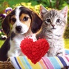Lovely Animals - iPadアプリ