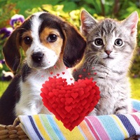 Lovely Animals app icon - Photo & Video app for iPhone
