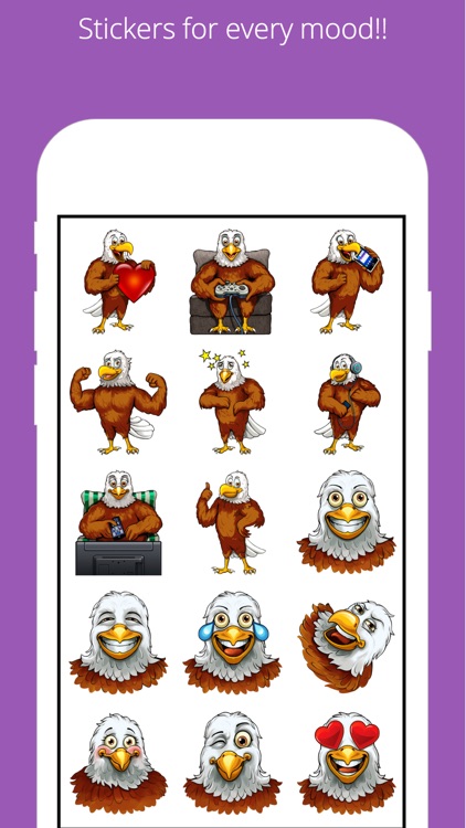 American Baldie Eagle