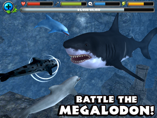 Screenshot #5 pour Dolphin Simulator