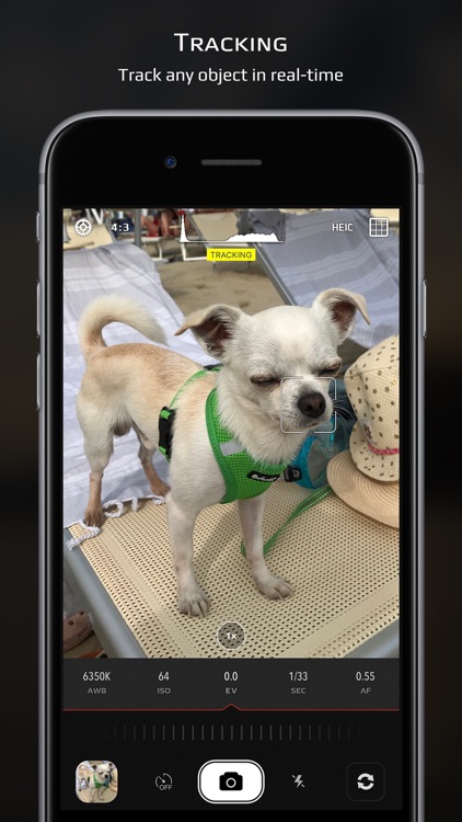 Chromatica camera screenshot-6