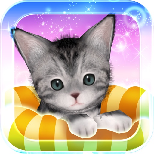 My Cat My Room icon