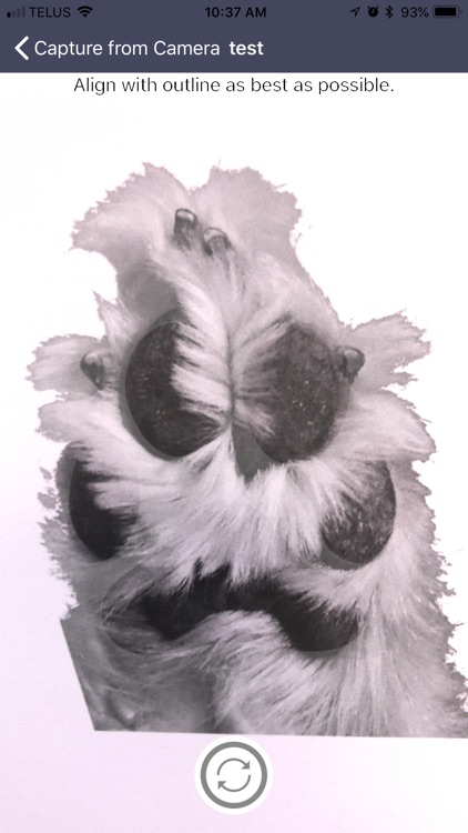 Furever Loved CaptureM