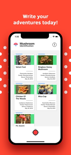 Mushroom Identification(圖3)-速報App