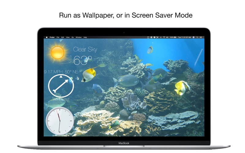 aquarium 4k - live wallpaper iphone screenshot 3