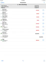 checkbook - ledger айпад изображения 2