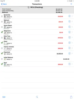 Checkbook - Ledger iPad image 2
