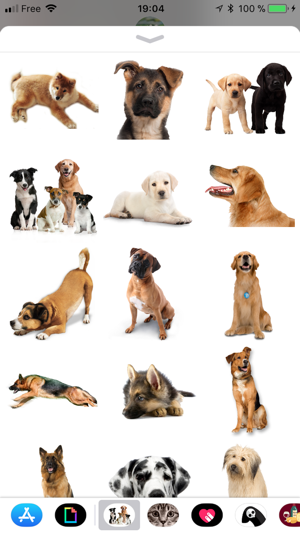 Dog(圖2)-速報App