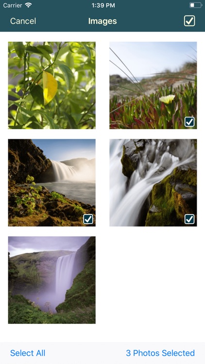 iGIF Creator screenshot-4