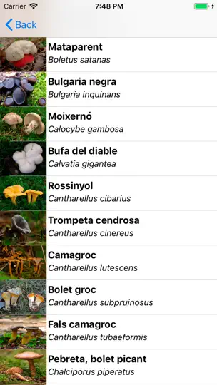 Captura de pantalla de La Boletpèdia en iPhone 3