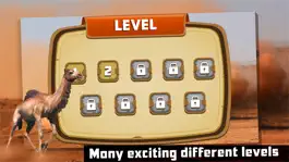 Game screenshot Camel Race : Desert Adventure apk