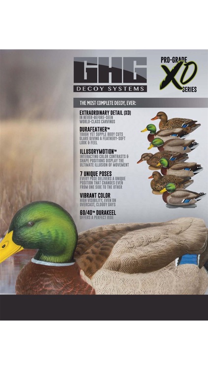 American Waterfowler