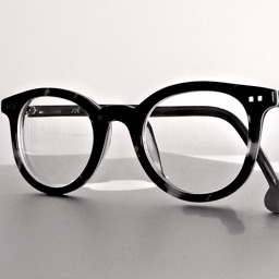 Bifocal Reading Glasses