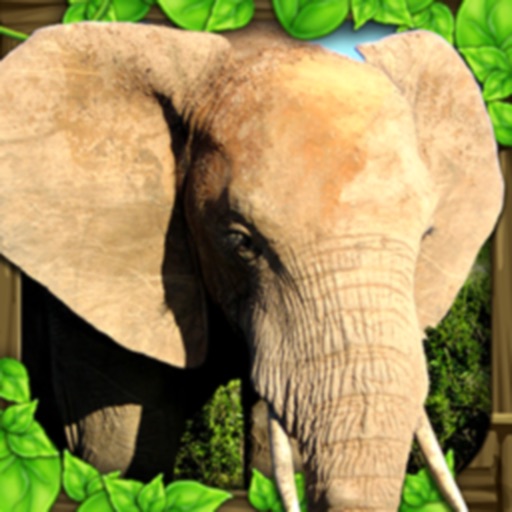 Elephant Simulator iOS App