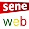 Premier site d’Afrique francophone, Seneweb