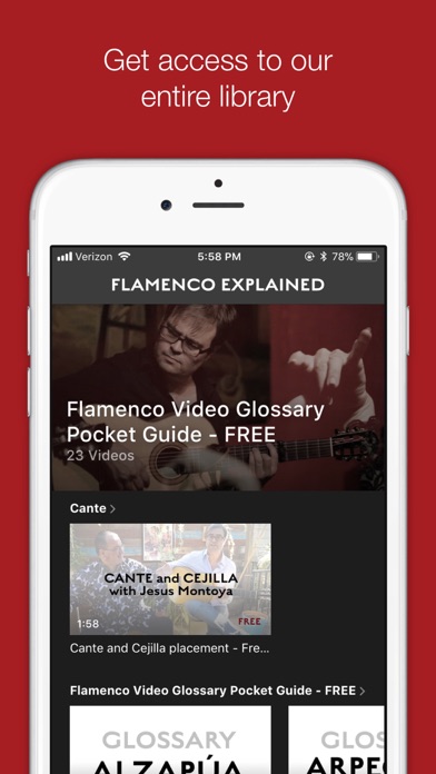 Flamenco Explained screenshot 2