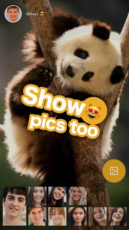 Zooroom Video Chat
