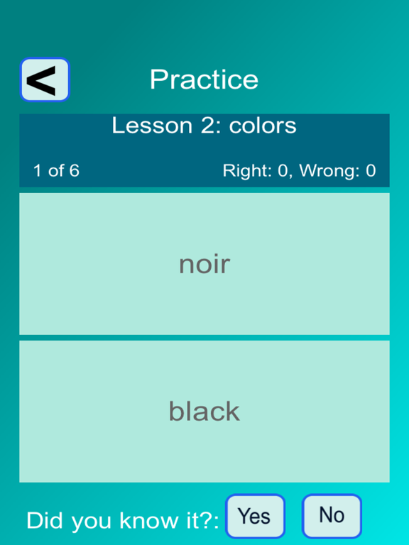 Words FR French Course iPad screenshot