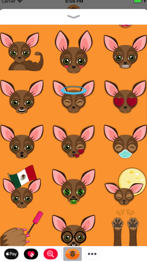 Chocolate Chihuahua(圖1)-速報App