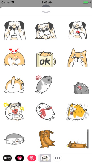Funny Dog Animated Stickers screenshot 3