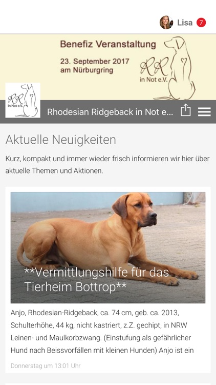Rhodesian Ridgeback in Not